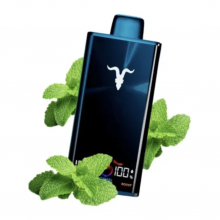 Pod descartable Ignite V300 30000 puffs Menthol