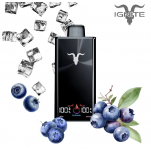 Pod descartable Ignite V300 30000 puffs Blueberry Ice