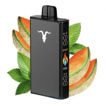 Pod descartable Ignite V300 30000 puffs Minty Melon